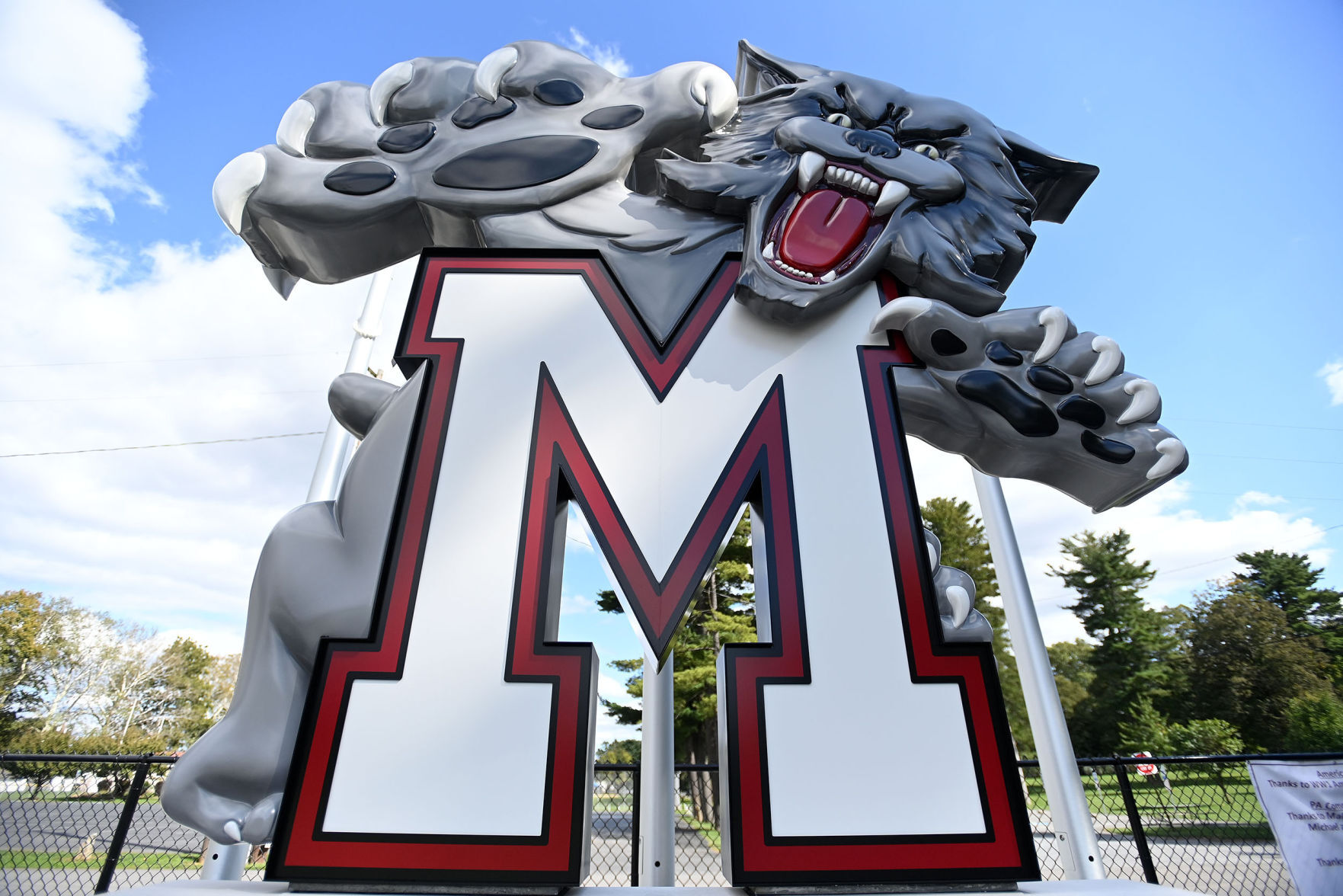 Wildcat Foundation 2